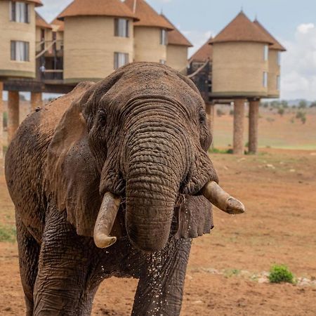 Salt Lick Safari Lodge Tsavo Exterior foto