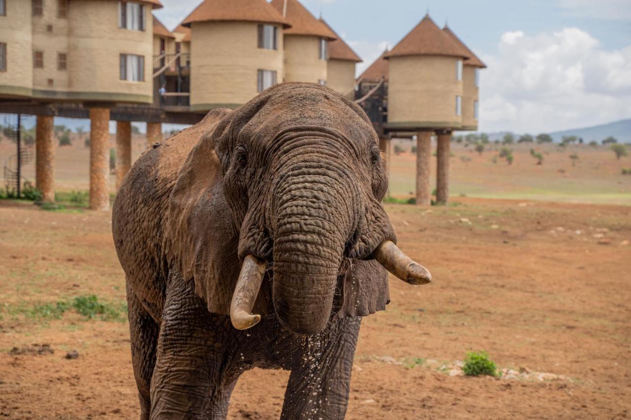 Salt Lick Safari Lodge Tsavo Exterior foto