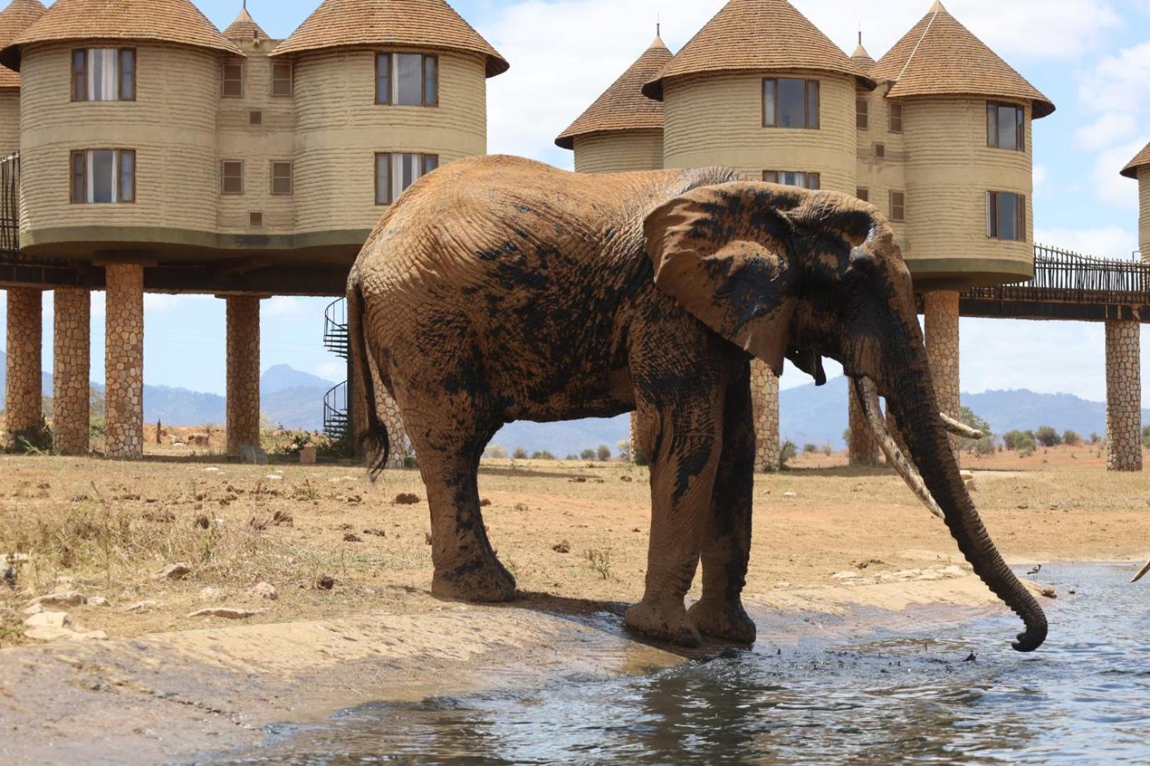 Salt Lick Safari Lodge Tsavo Exterior foto