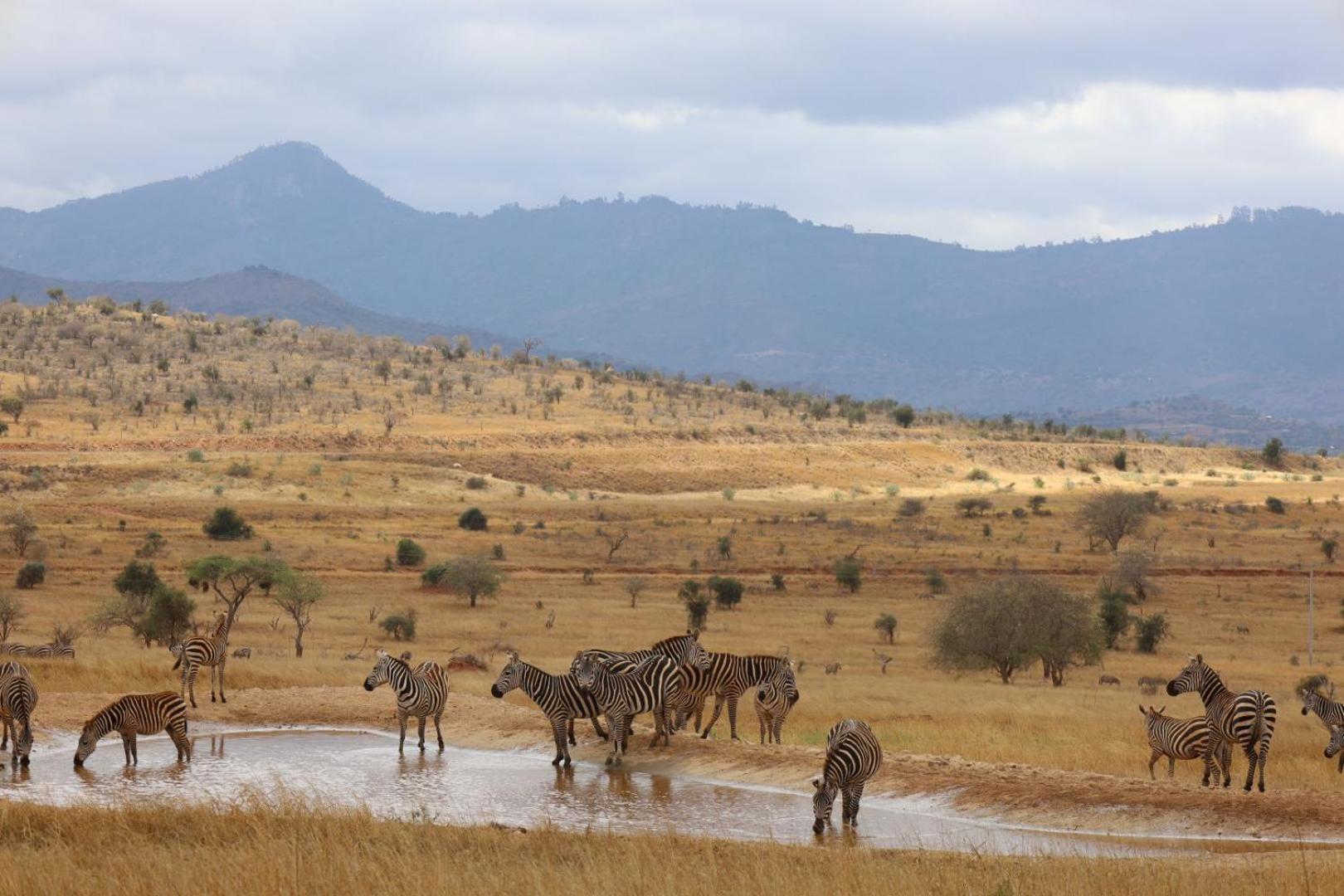 Salt Lick Safari Lodge Tsavo Exterior foto