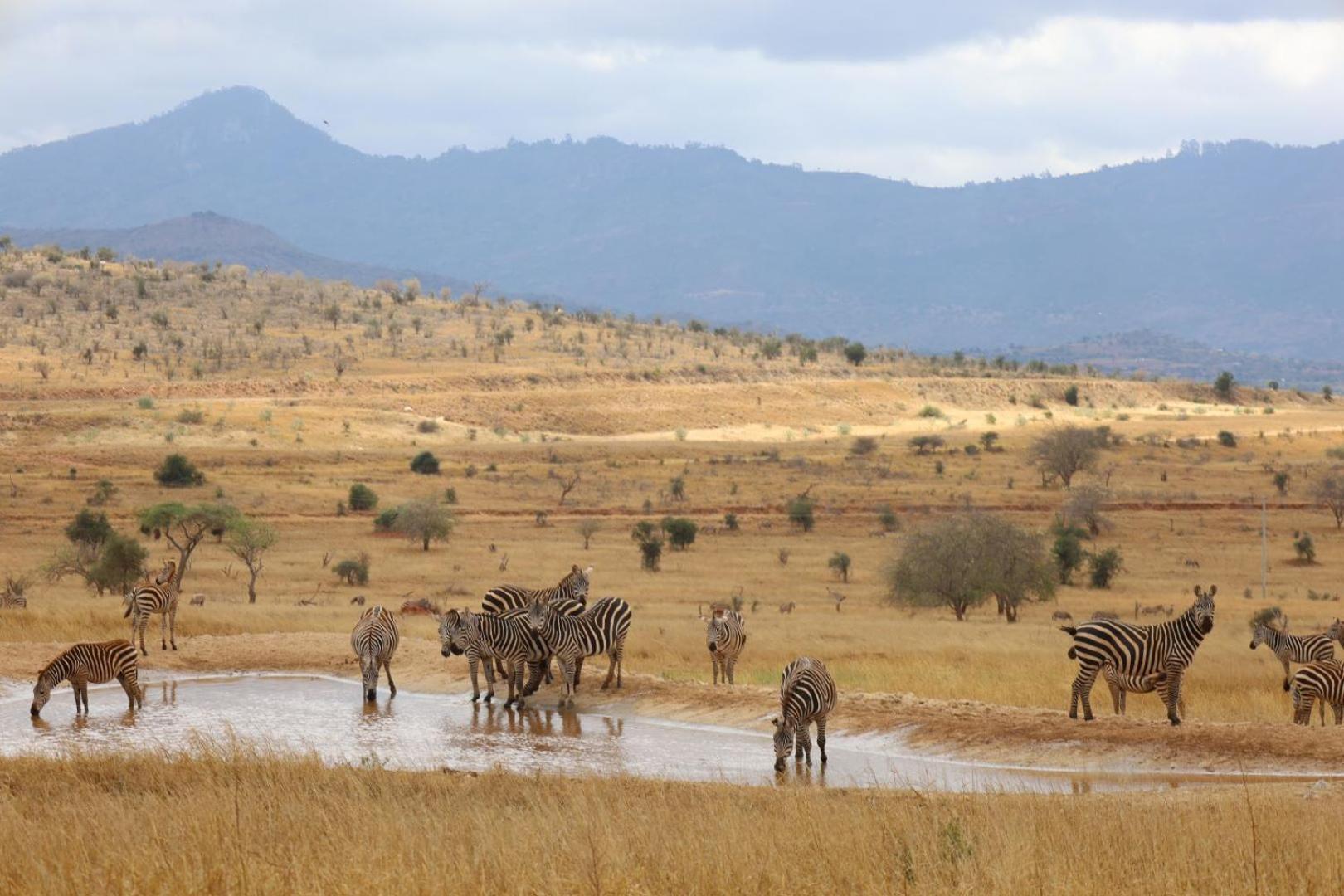 Salt Lick Safari Lodge Tsavo Exterior foto