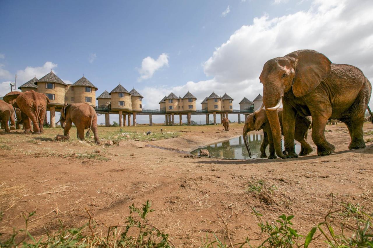 Salt Lick Safari Lodge Tsavo Exterior foto