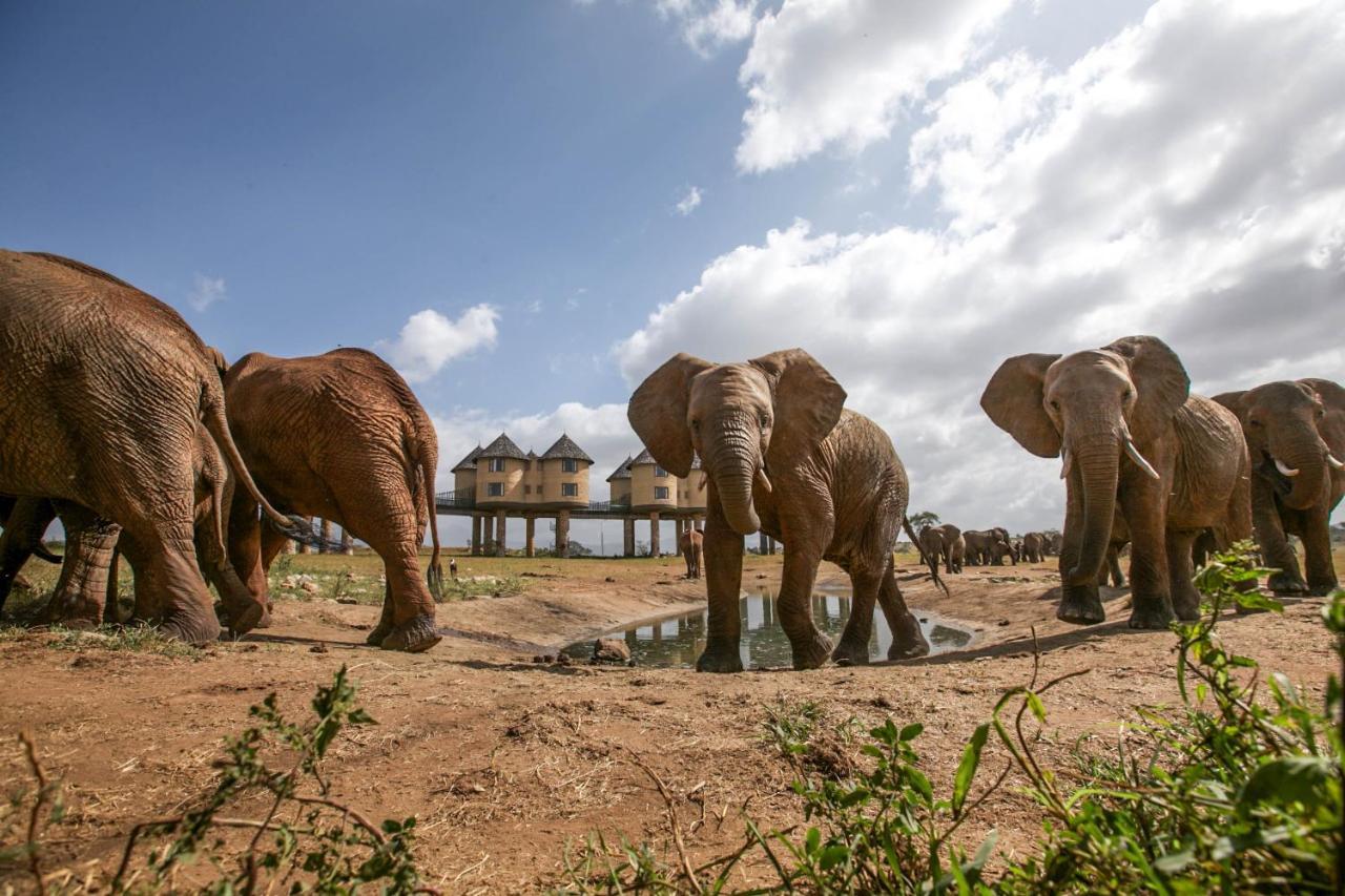 Salt Lick Safari Lodge Tsavo Exterior foto